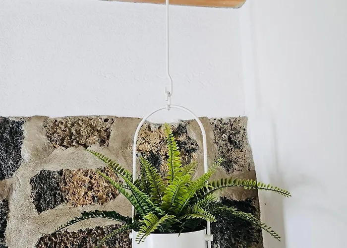 Casa Celi Lejlighed *